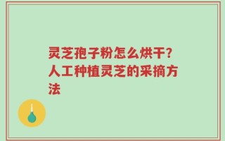 灵芝孢子粉怎么烘干？人工种植灵芝的采摘方法