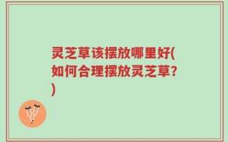 灵芝草该摆放哪里好(如何合理摆放灵芝草？)