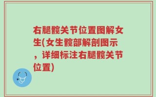 右腿髋关节位置图解女生(女生髋部解剖图示，详细标注右腿髋关节位置)