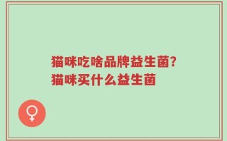 猫咪吃啥品牌益生菌？猫咪买什么益生菌