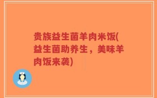 贵族益生菌羊肉米饭(益生菌助养生，美味羊肉饭来袭)