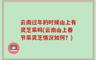 云南过年的时候山上有灵芝采吗(云南山上春节采灵芝情况如何？)
