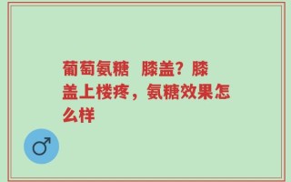 葡萄氨糖  膝盖？膝盖上楼疼，氨糖效果怎么样