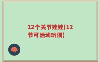 12个关节娃娃(12节可活动玩偶)