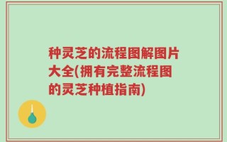 种灵芝的流程图解图片大全(拥有完整流程图的灵芝种植指南)