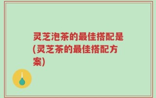 灵芝泡茶的最佳搭配是(灵芝茶的最佳搭配方案)