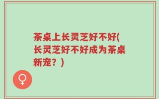 茶桌上长灵芝好不好(长灵芝好不好成为茶桌新宠？)