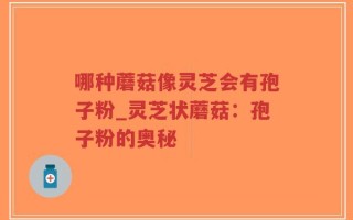 哪种蘑菇像灵芝会有孢子粉_灵芝状蘑菇：孢子粉的奥秘