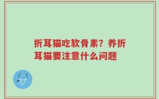 折耳猫吃软骨素？养折耳猫要注意什么问题