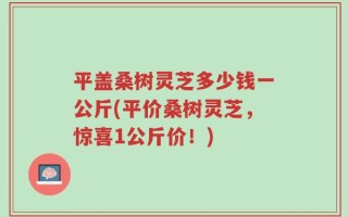 平盖桑树灵芝多少钱一公斤(平价桑树灵芝，惊喜1公斤价！)