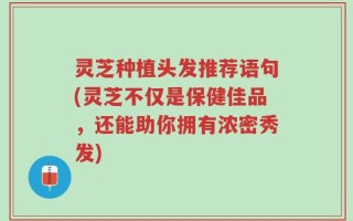 灵芝种植头发推荐语句(灵芝不仅是保健佳品，还能助你拥有浓密秀发)