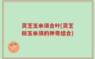 灵芝玉米须合叶(灵芝和玉米须的神奇结合)