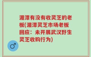 湄潭有没有收灵芝的老板(湄潭灵芝市场老板回应：未开展武汉野生灵芝收购行为)