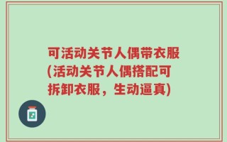 可活动关节人偶带衣服(活动关节人偶搭配可拆卸衣服，生动逼真)