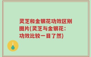 灵芝和金银花功效区别图片(灵芝与金银花：功效比较一目了然)