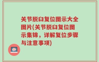 关节脱臼复位图示大全图片(关节脱臼复位图示集锦，详解复位步骤与注意事项)
