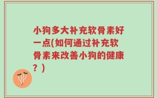 小狗多大补充软骨素好一点(如何通过补充软骨素来改善小狗的健康？)