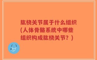 肱桡关节属于什么组织(人体骨骼系统中哪些组织构成肱桡关节？)