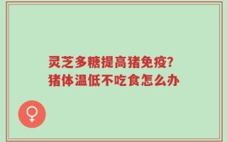 灵芝多糖提高猪免疫？猪体温低不吃食怎么办