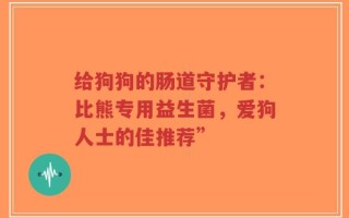 给狗狗的肠道守护者：比熊专用益生菌，爱狗人士的佳推荐”