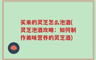 买来的灵芝怎么泡酒(灵芝泡酒攻略：如何制作美味营养的灵芝酒)