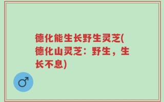 德化能生长野生灵芝(德化山灵芝：野生，生长不息)