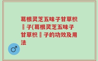葛根灵芝五味子甘草枳椇子(葛根灵芝五味子甘草枳椇子的功效及用法