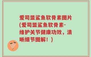 爱司盟鲨鱼软骨素图片(爱司盟鲨鱼软骨素-维护关节健康功效，清晰细节图解！)