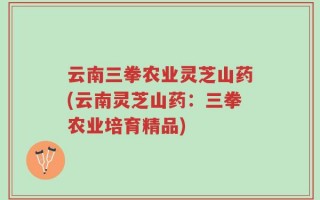 云南三拳农业灵芝山药(云南灵芝山药：三拳农业培育精品)