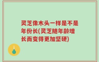 灵芝像木头一样是不是年份长(灵芝随年龄增长而变得更加坚硬)