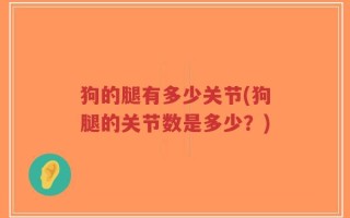 狗的腿有多少关节(狗腿的关节数是多少？)