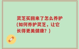 灵芝买回来了怎么养护(如何养护灵芝，让它长得更美健康？)