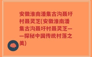 安徽淮南潘集古沟聂圩村聂灵芝(安徽淮南潘集古沟聂圩村聂灵芝——探秘中国传统村落之美)