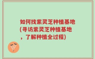 如何找紫灵芝种植基地(寻访紫灵芝种植基地，了解种植全过程)