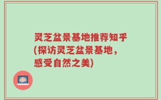 灵芝盆景基地推荐知乎(探访灵芝盆景基地，感受自然之美)