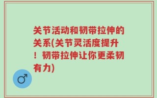 关节活动和韧带拉伸的关系(关节灵活度提升！韧带拉伸让你更柔韧有力)