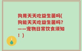 狗用天天吃益生菌吗(狗能天天吃益生菌吗？——宠物日常饮食须知！)