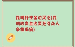 昆明野生金边灵芝(昆明珍贵金边灵芝引众人争相采摘)