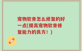 宠物软骨怎么修复的好一点(提高宠物软骨修复能力的良方！)