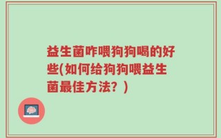 益生菌咋喂狗狗喝的好些(如何给狗狗喂益生菌最佳方法？)