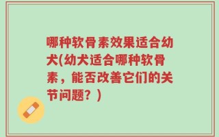 哪种软骨素效果适合幼犬(幼犬适合哪种软骨素，能否改善它们的关节问题？)