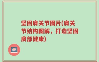 坚固肩关节图片(肩关节结构图解，打造坚固肩部健康)