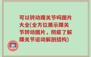 可以转动踝关节吗图片大全(全方位展示踝关节转动图片，彻底了解踝关节运动解剖结构)