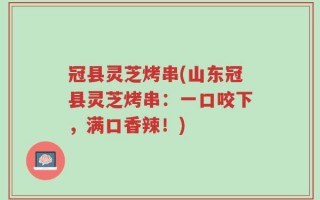 冠县灵芝烤串(山东冠县灵芝烤串：一口咬下，满口香辣！)
