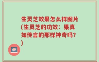 生灵芝效果怎么样图片(生灵芝的功效：果真如传言的那样神奇吗？)
