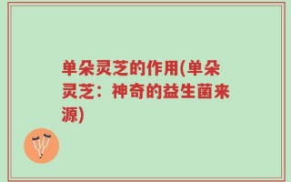 单朵灵芝的作用(单朵灵芝：神奇的益生菌来源)