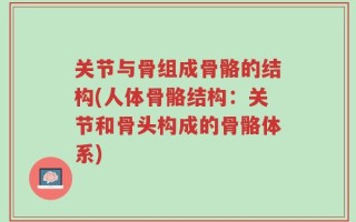 关节与骨组成骨骼的结构(人体骨骼结构：关节和骨头构成的骨骼体系)