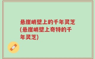 悬崖峭壁上的千年灵芝(悬崖峭壁上奇特的千年灵芝)