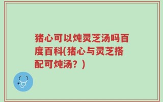 猪心可以炖灵芝汤吗百度百科(猪心与灵芝搭配可炖汤？)