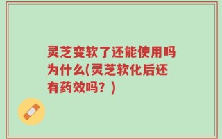 灵芝变软了还能使用吗为什么(灵芝软化后还有药效吗？)